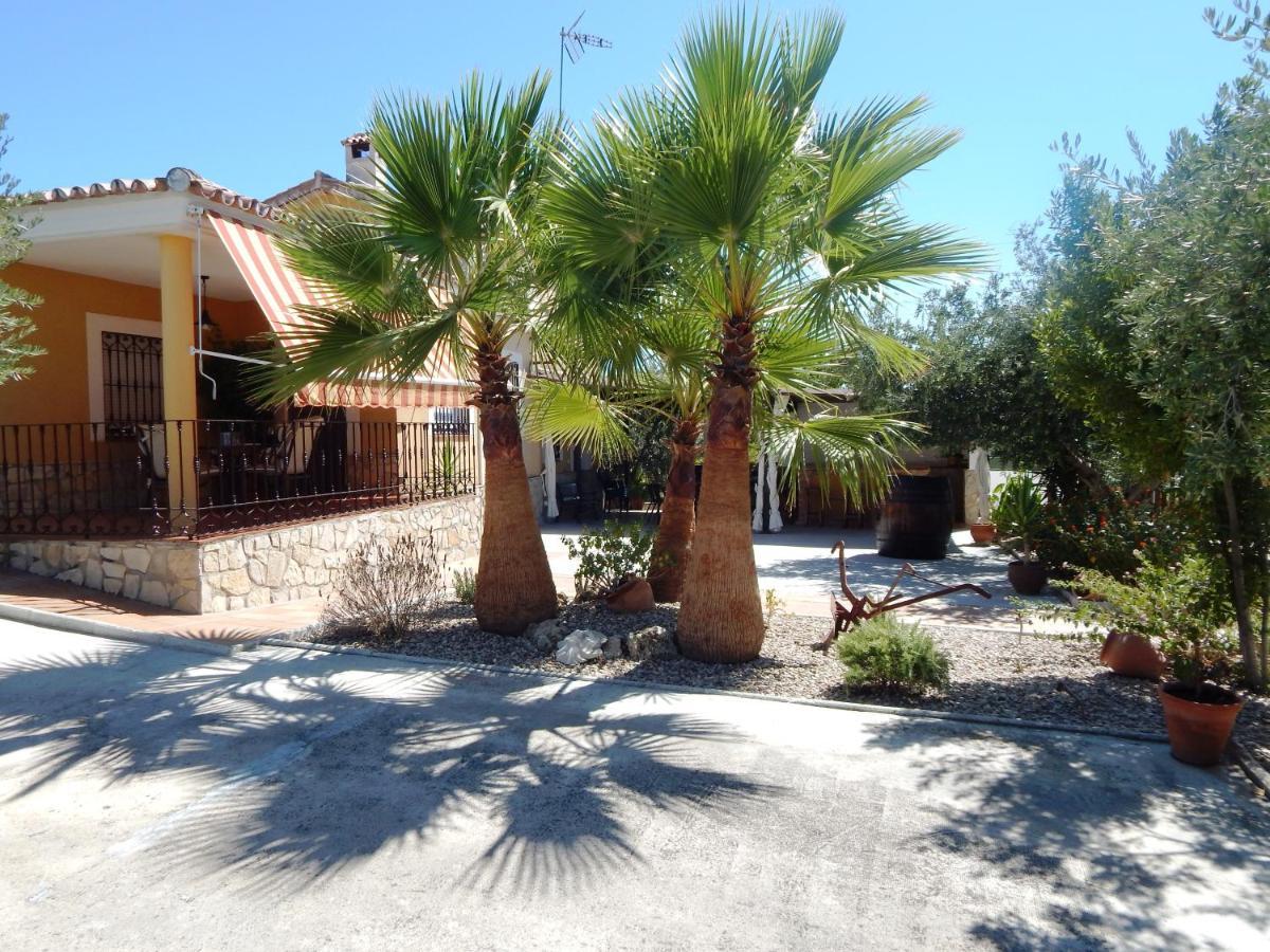 Maria - Pista De Padel Y Piscina Country house *